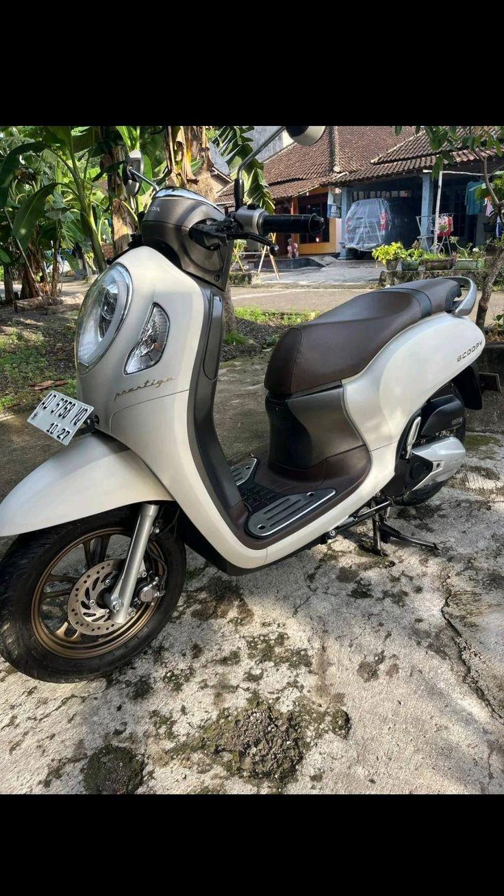 Honda Scoopy